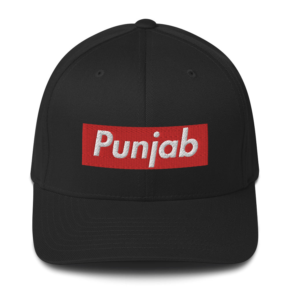 PUNJAB - FLEXFIT CAP