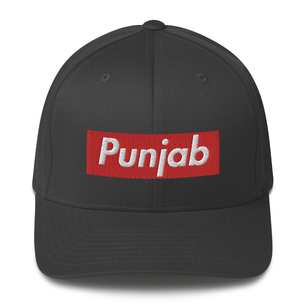 PUNJAB - FLEXFIT CAP
