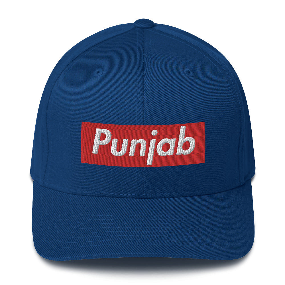 PUNJAB - FLEXFIT CAP